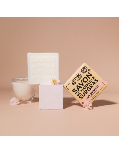 Soap 100g - Donkey's Milk