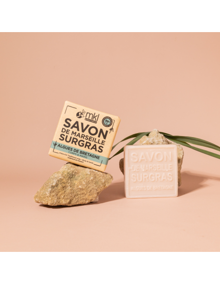 Soap 100g - Brittany Algae