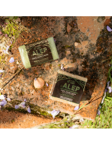 Aleppo soap bar