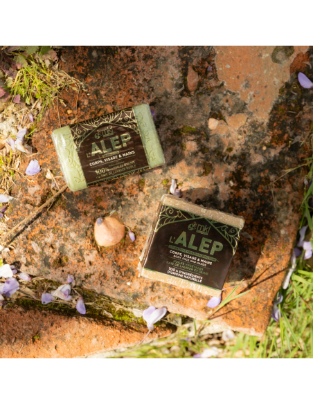 Aleppo soap bar