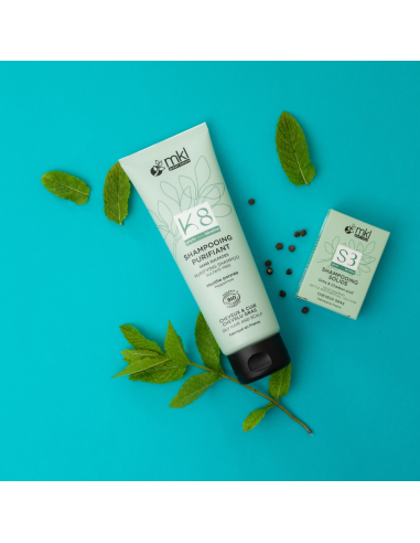 SHAMPOING SOLIDE PURIFIANT