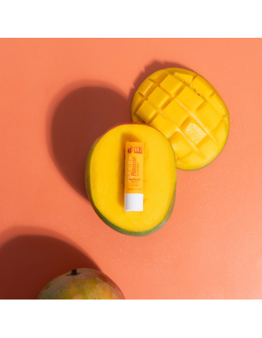 Baume Lèvres Bio - Mangue